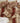 Myhand 7 Piece Damask Comforter Set
